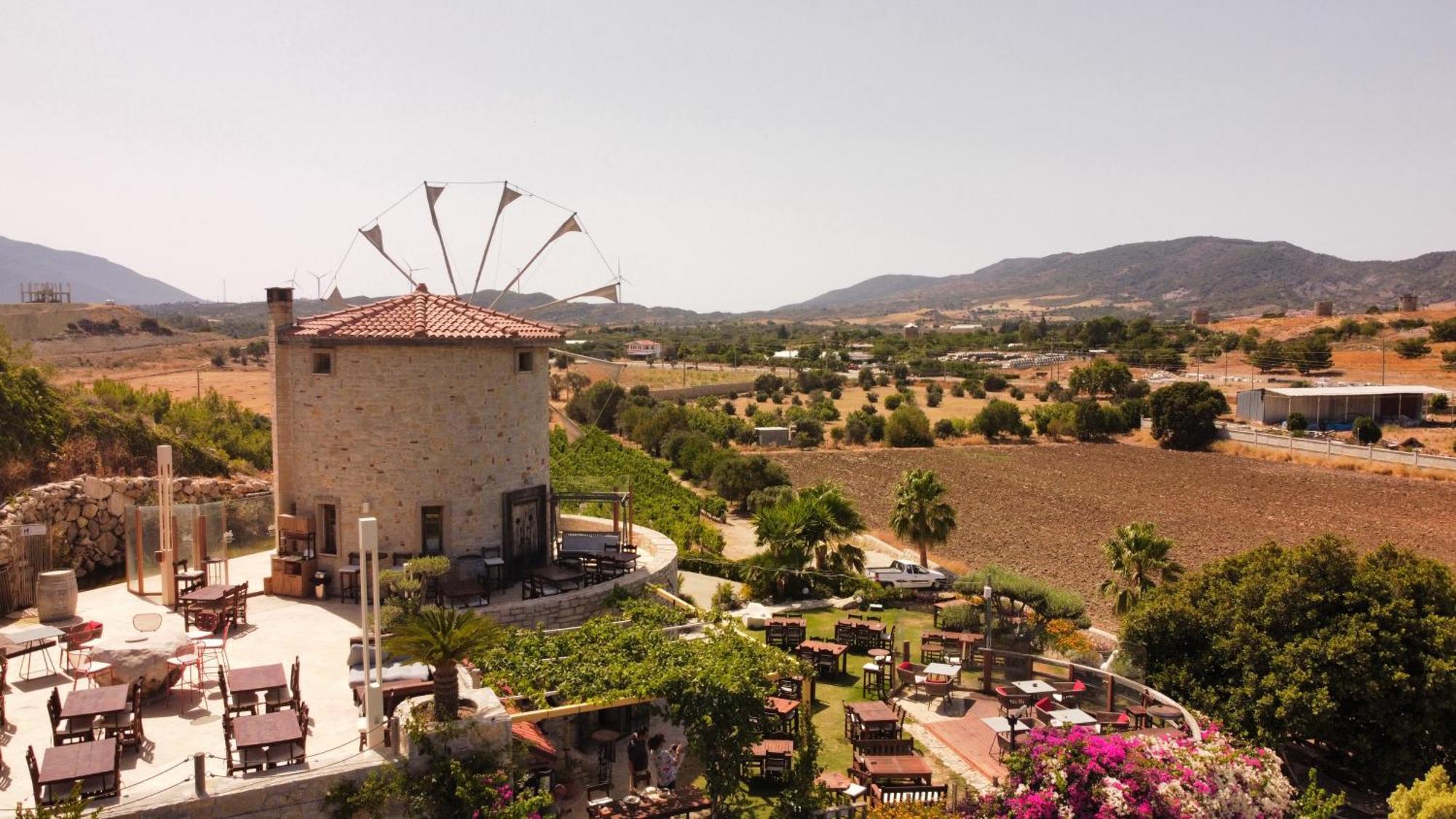 Datca Vineyard Guesthouse エクステリア 写真