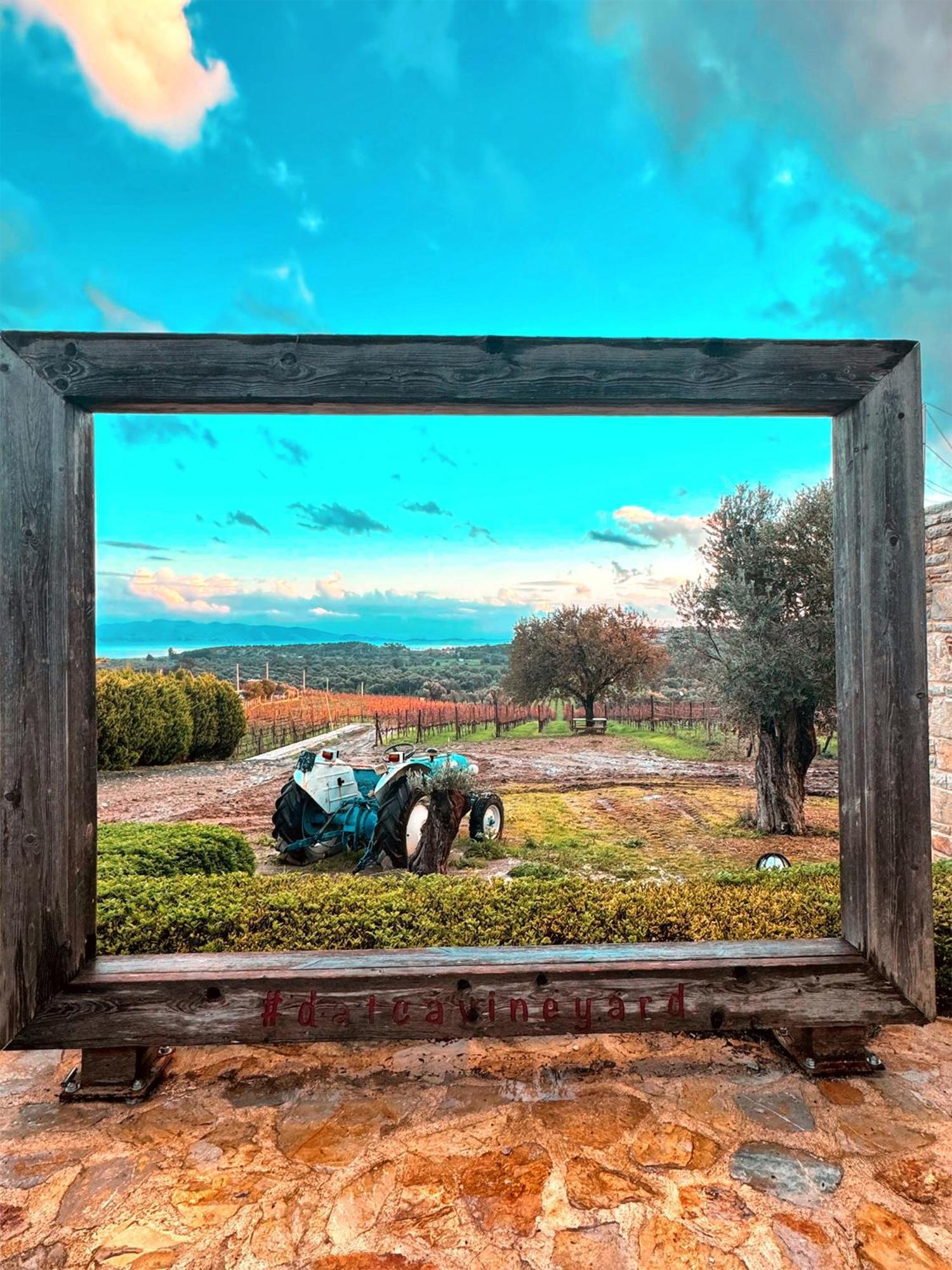 Datca Vineyard Guesthouse エクステリア 写真