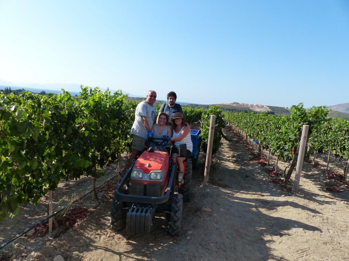 Datca Vineyard Guesthouse エクステリア 写真