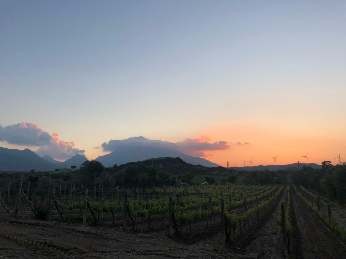 Datca Vineyard Guesthouse エクステリア 写真